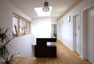 holzalufenster